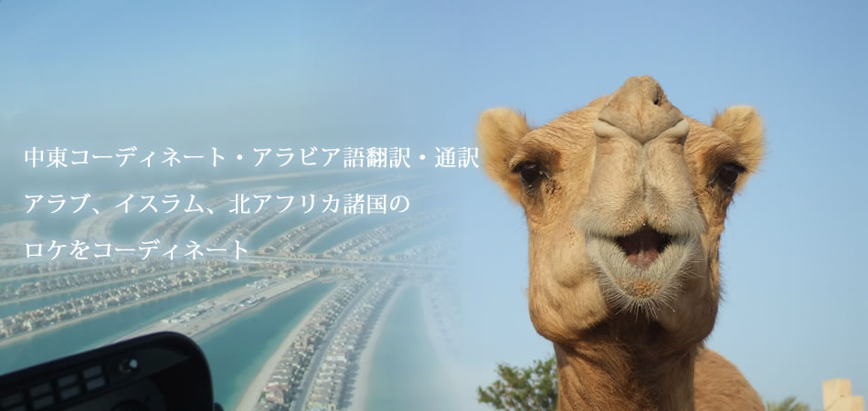 ドバイ、アブダビ(UAE)、カタール、ヨルダン、サウジアラビア、レバノン、バーレーン、クウェート、オマーン、エジプト、チュニジア、モロッコ、シリア、イラクなど番組ロケ撮影コーディネーター 空撮写真はドバイの世界最大の人工島 パーム・ジュメイラ 写真右はアラブの大富豪のラクダ